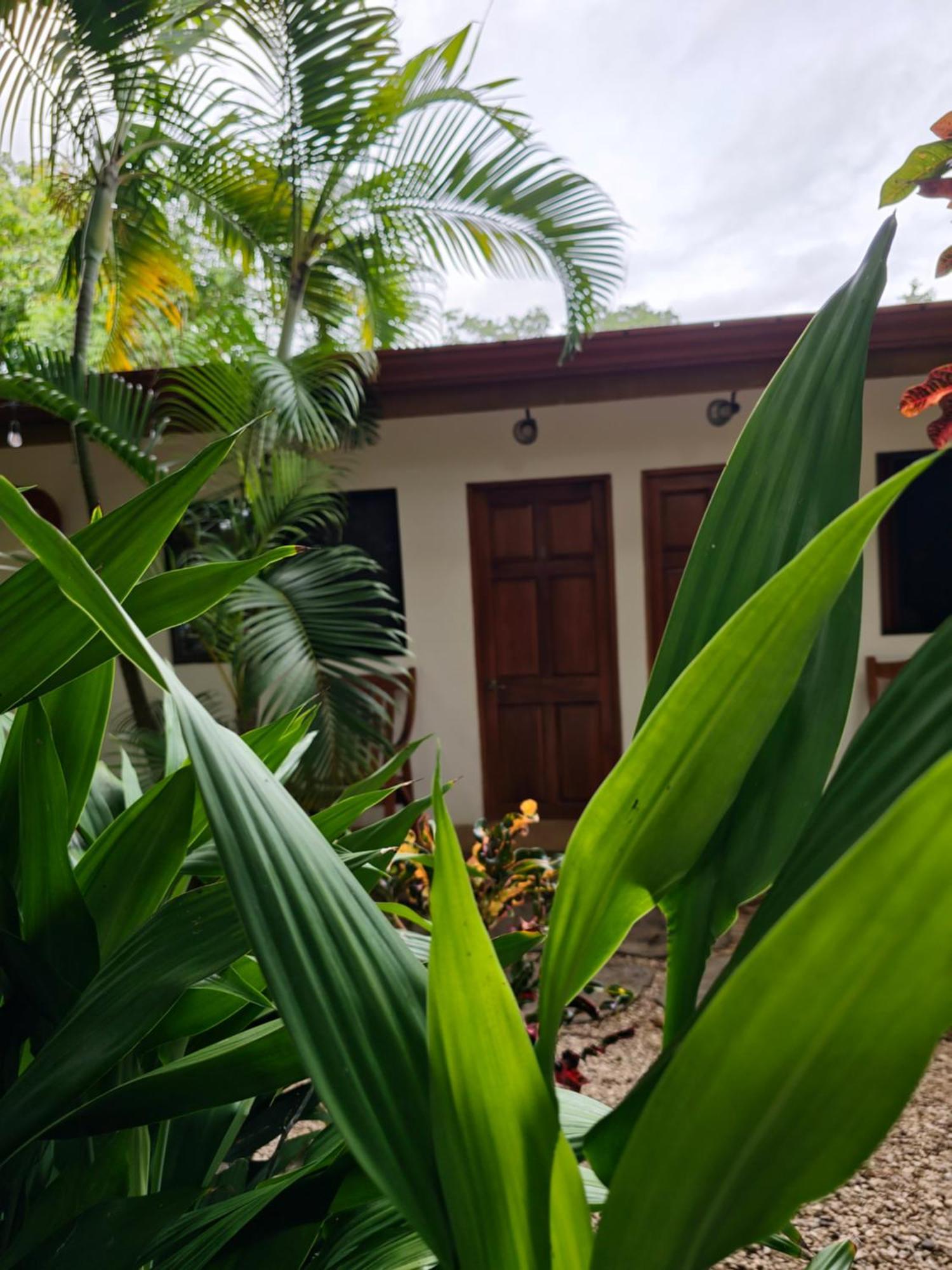 Buddha Retreat Hotel San Juanillo Buitenkant foto
