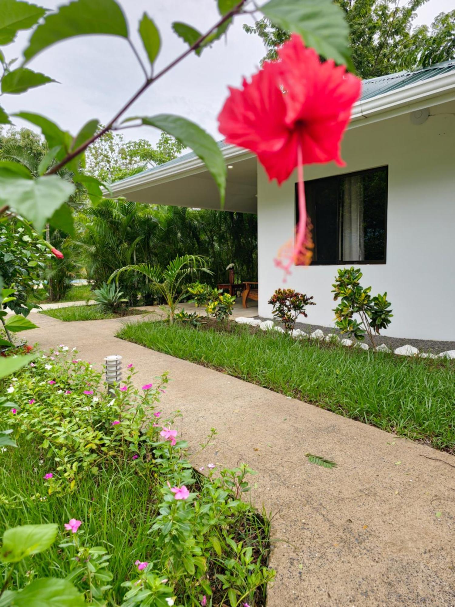 Buddha Retreat Hotel San Juanillo Buitenkant foto