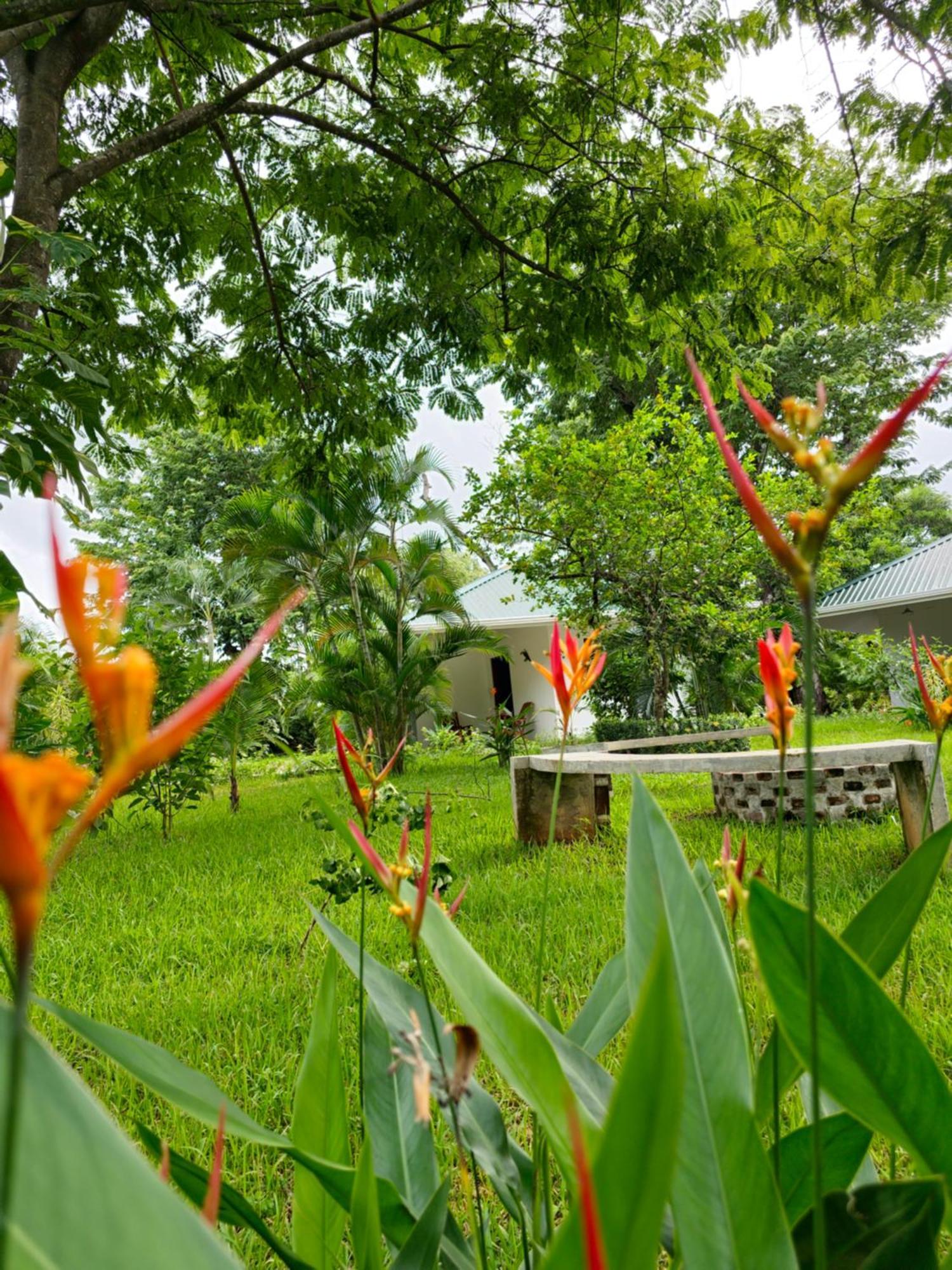 Buddha Retreat Hotel San Juanillo Buitenkant foto