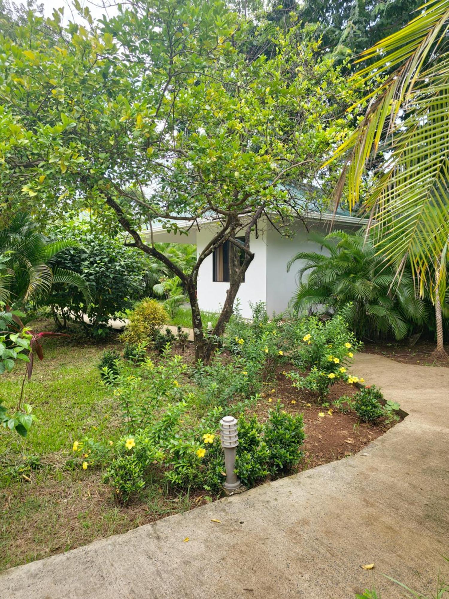 Buddha Retreat Hotel San Juanillo Buitenkant foto