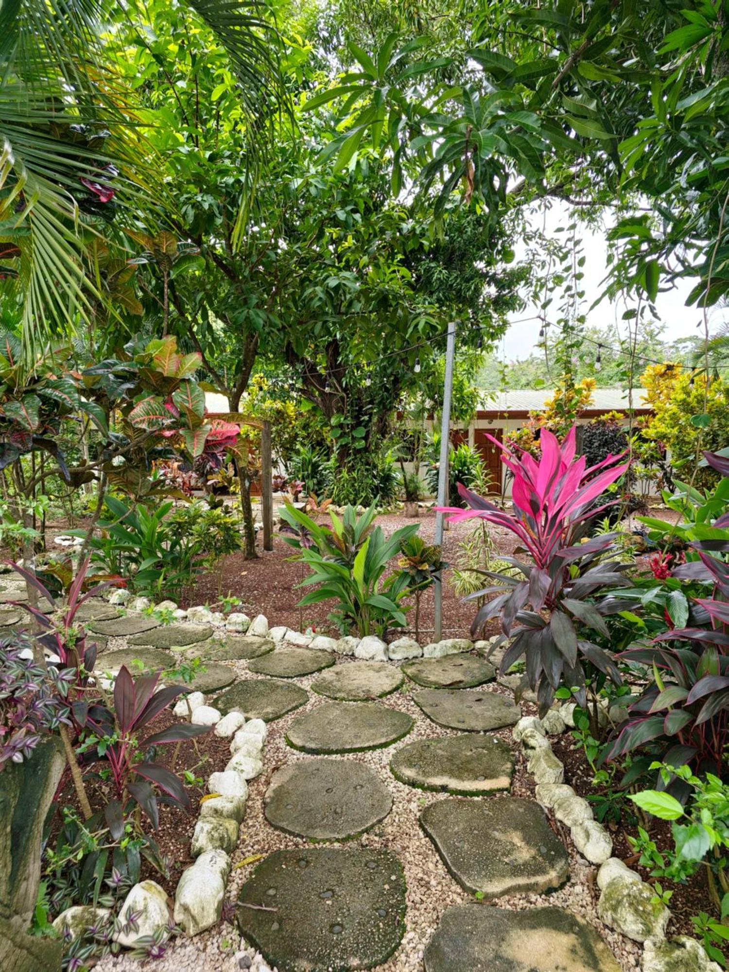 Buddha Retreat Hotel San Juanillo Buitenkant foto